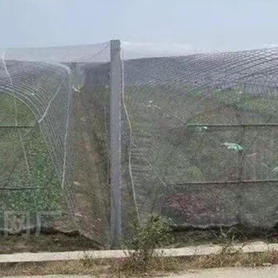 좋은 새 곤충 보호 망 비 비를 막는 망 흰색 반 벌 보호망 나무 작물 보호