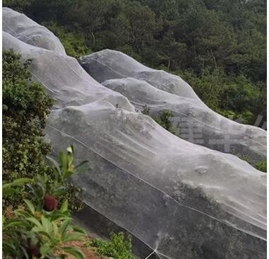 녹색 맞춤형 벌레 보호 곤충 보호 농산물 망 과일 나무 채소 정원 집 공장