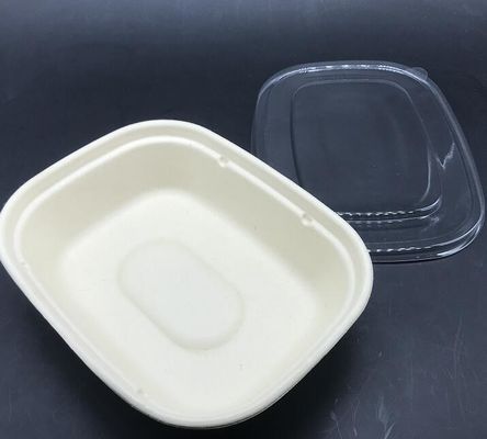 투명 뚜껑이있는 소금 식품 용기 용 인기있는 바이오 직사각형 U 자형 사탕 수수 식기